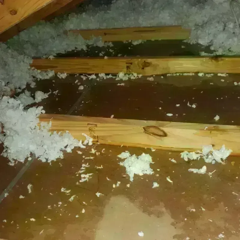 Attic Water Damage in West Whittier-Los Nietos, CA